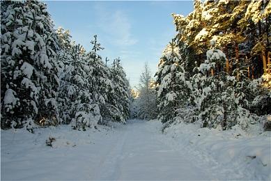 Doinb爆料：Faker或加入LPL 已有三个战队出高报价